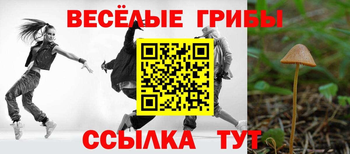 наркошоп  Псилоцибиновые грибы Magic Shrooms  Вход с VPN  Изобильный 